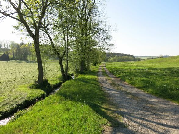 Blick auf das Bächlein "Schwelk" und die umliegenden Wiesen