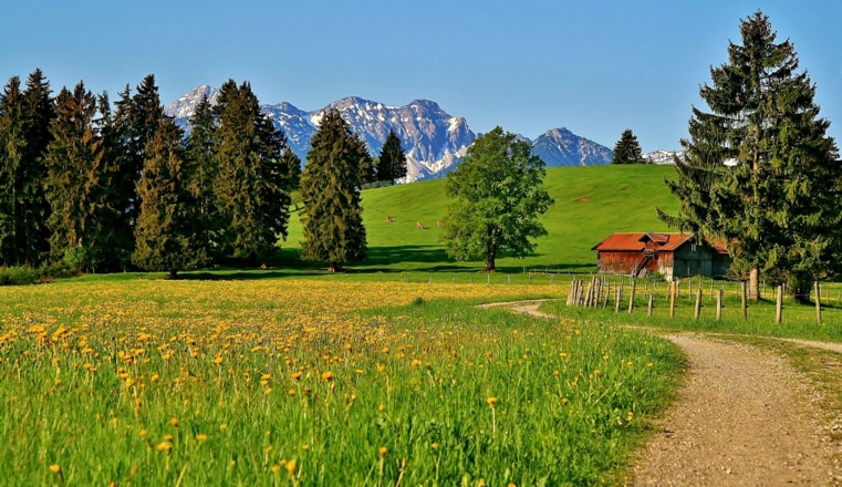 Dietringer Alm Rundweg, Rieden am Forggensee