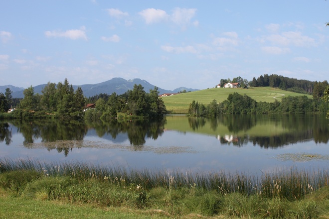 Blick über den Schwaltenweiher Richtung Goldhasen