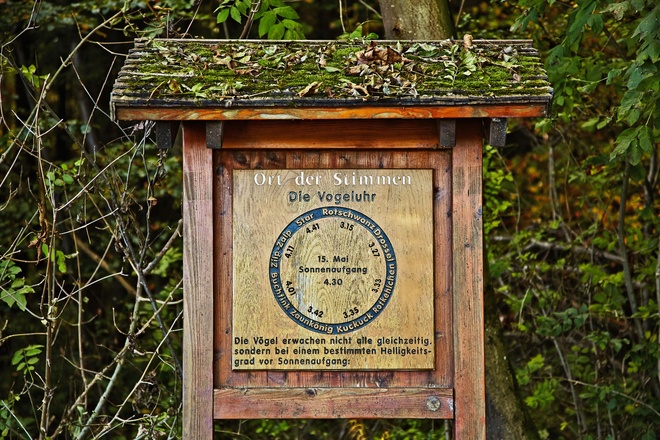 Ort der Stimmen
