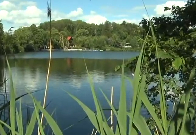 Walderlebnispfad am Buxheimer Weiher