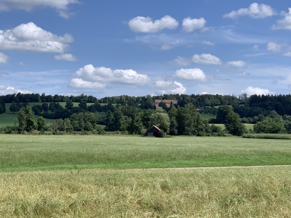 Blick auf Klosterwald