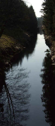 Die Geltnach ist ein typischer Moorfluss mit braunem, träge dahinfließenden Wasser