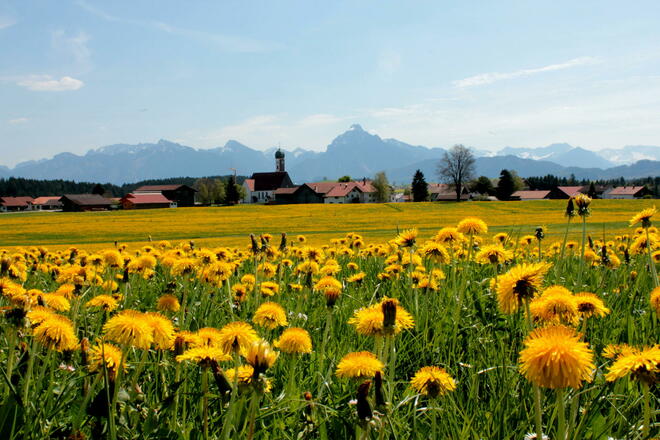 Blick auf Speiden und Maria Hilf