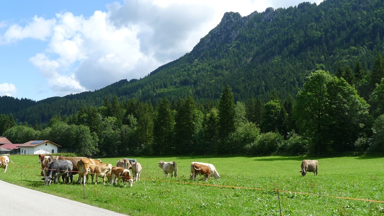 Zwischen Unterjoch und Jungholz - der SORGSCHROFEN