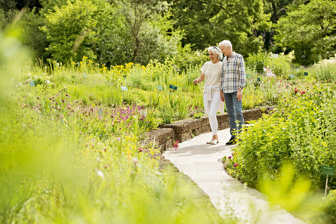 Duft- und Aromagarten