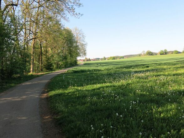 Weg kurz vor Frechenrieden