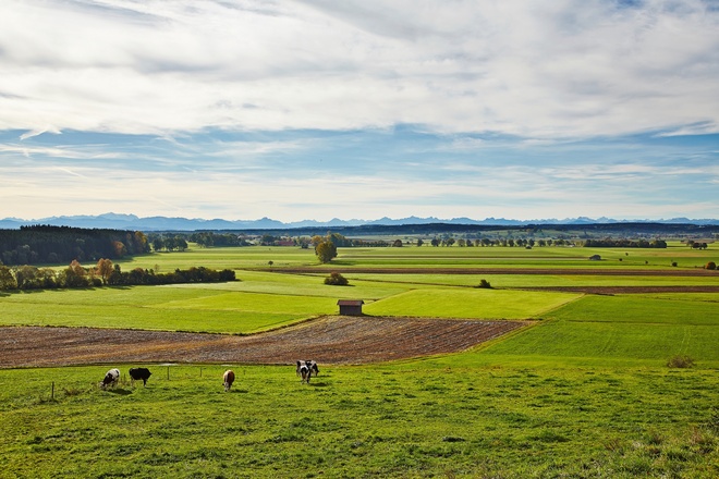 Alpenblick von Hartenthal aus