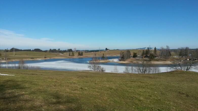 Der winterliche Schwaltenweiher