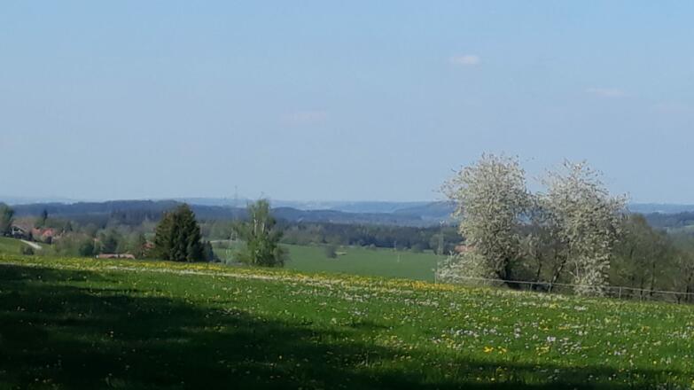 Halbersberg mit Blick Richtung Norden
