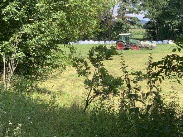 Traktor  bei Mäharbeiten im Günztal neben dem Radweg