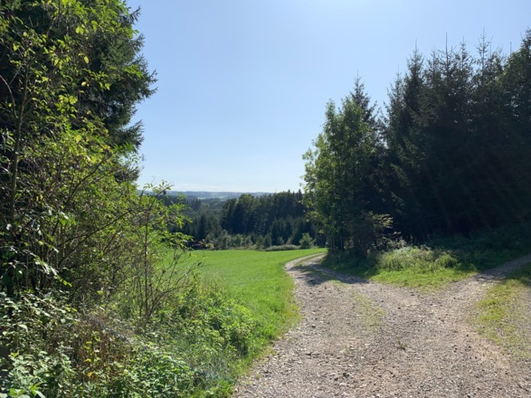 Rückblick in die Berge