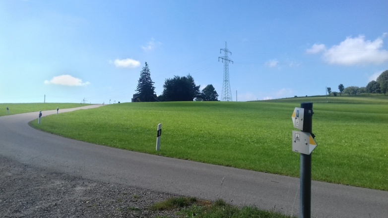 Aus dem Bannwald Richtung Niebers