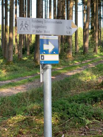 Wegweiser im Wald