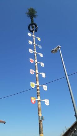 Maibaum in Ollarzried
