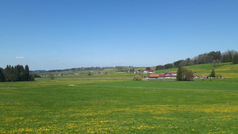 Blick auf Nollenhof bei Kuttern