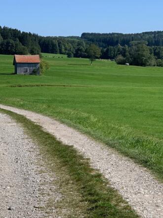 Hütte am Wegrand Richtung Schelmenheider Wald