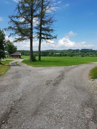 Weg nach rechts