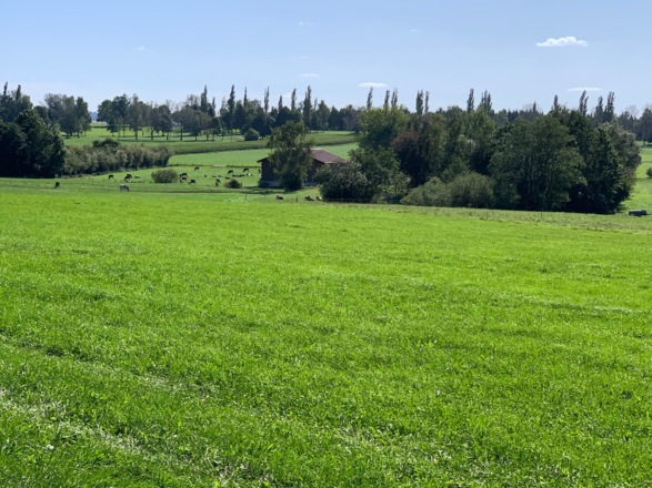 Blick Richtung Allgäuer Golf- und Landclub in Boschach
