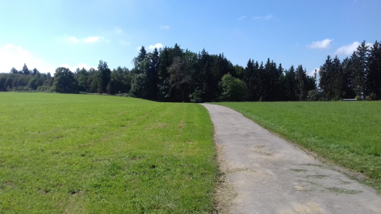 Weg in den Wald