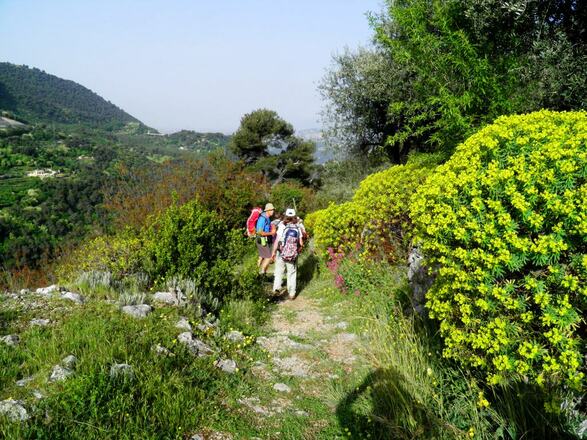 Pilgern - den Weg finden