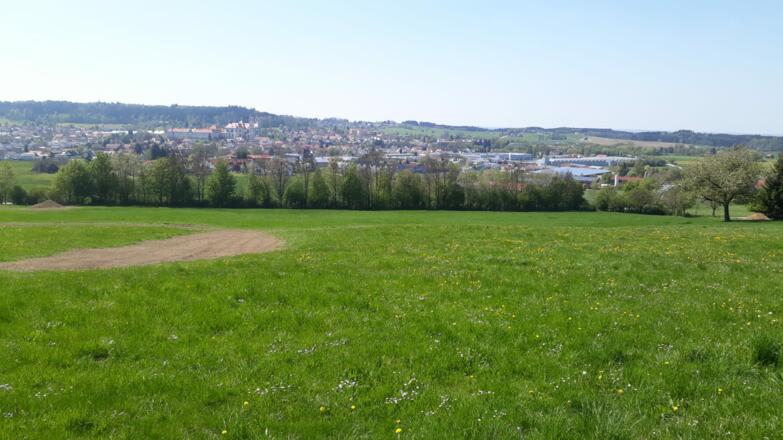 Blick über Ottobeuren von Halbersberg aus