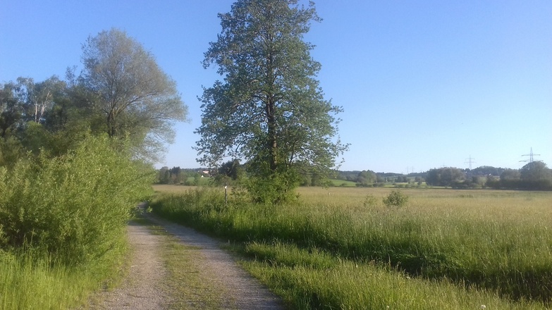 Natur pur im Günztal