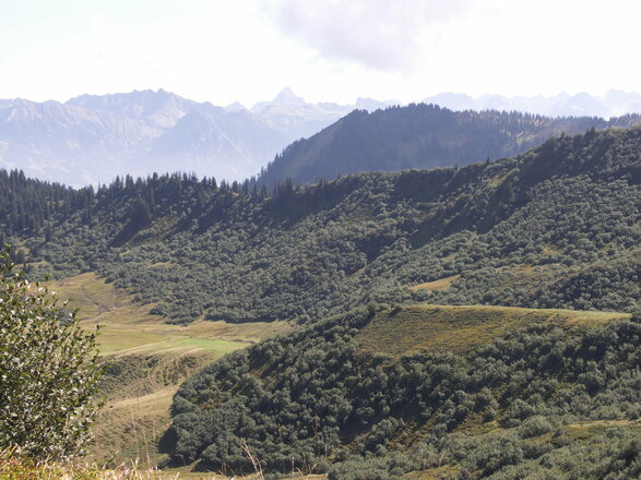 Blick vom Dreifahnenkopf
