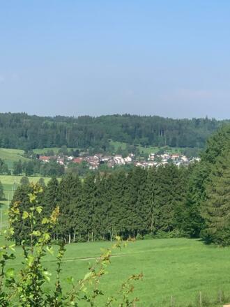 Blick auf Ottobeuren