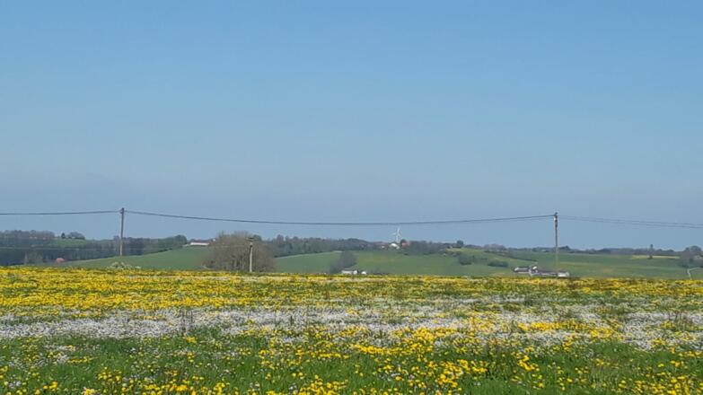 Blick von Westenried nach Böhen