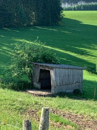 Kleine Hütte auf der Weide in Guggenberg