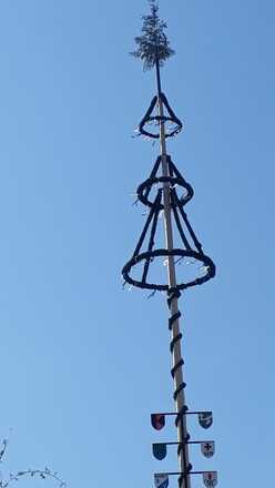Maibaum in Böhen