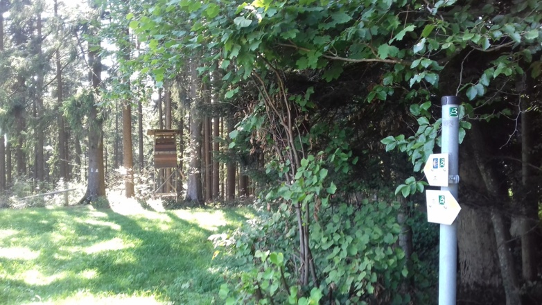 Jägerstand im Wald