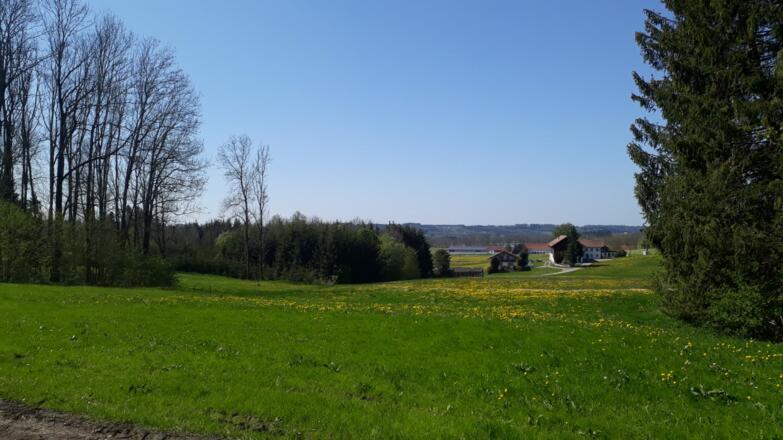 Zwischen Schochen und Kuttern Höhe Hölzle