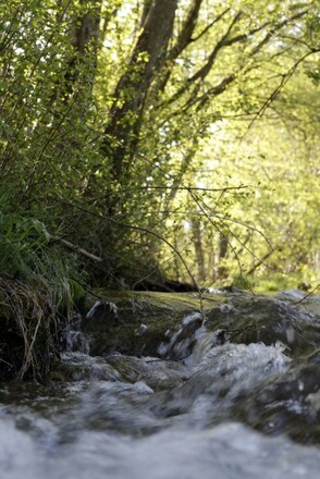 Mühlbach an der Ehwiesmühle