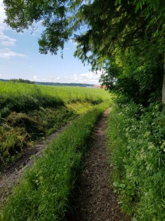 Feldweg