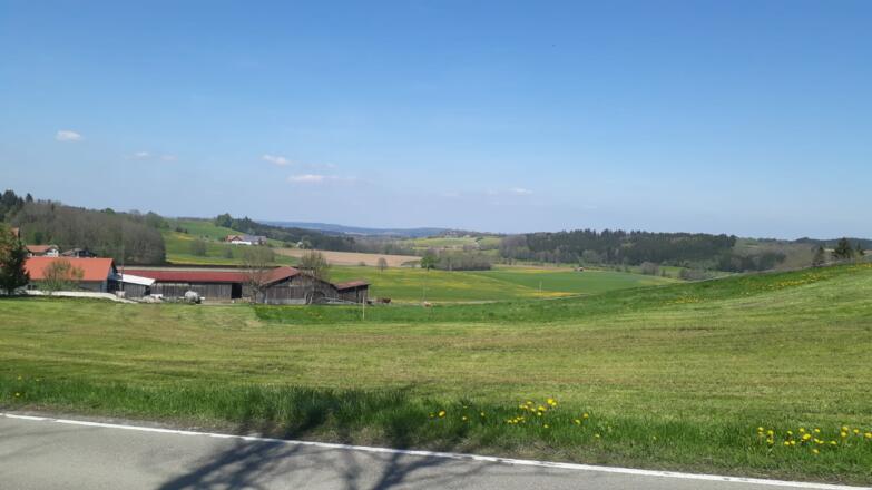 Vor Ollarzried - Blick Richtung Nordosten Betzisried