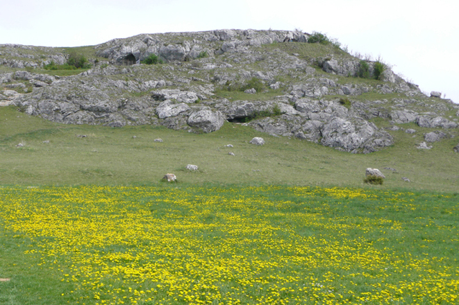 Riegelsberg mit Ofnethöhlen