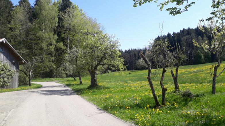 Schoren nach Kuttern