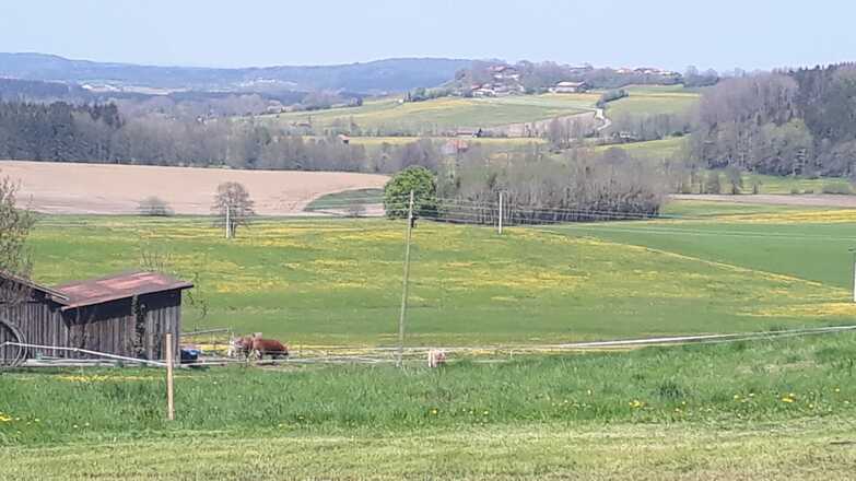 Oberhaslach Richtung Willer