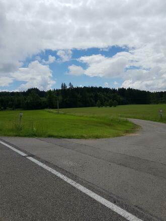 Richtung Bühler Wald