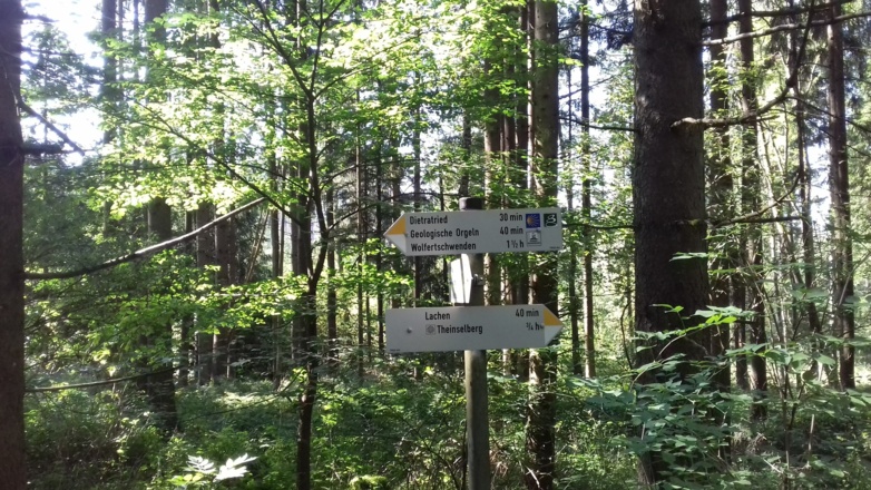 Wegweiser im Wald