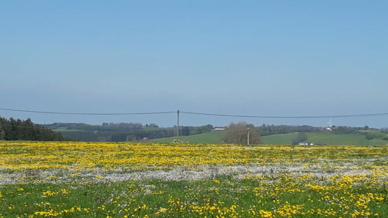 Von Westenried nach Böhen