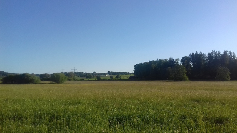 Blick Richtung Halbersberg