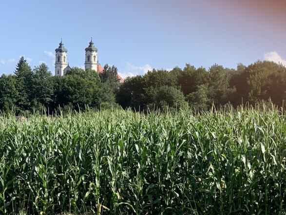 Blick vom DB Günztal-Radweg auf die Basilika Ottobeuren