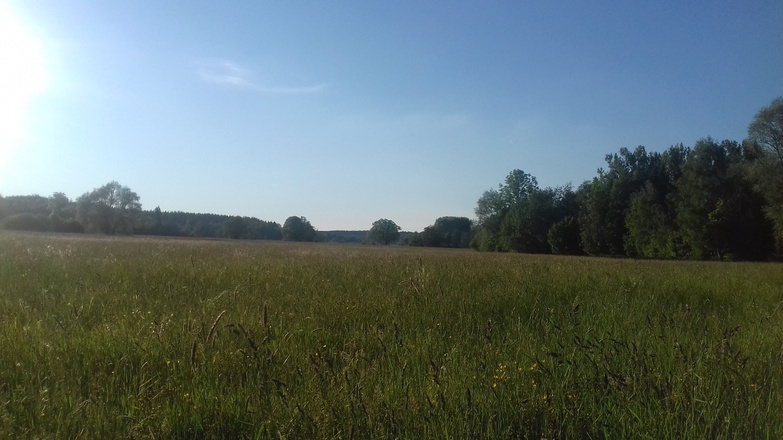 Allgäuer Wiesenlandschaft im Günztal