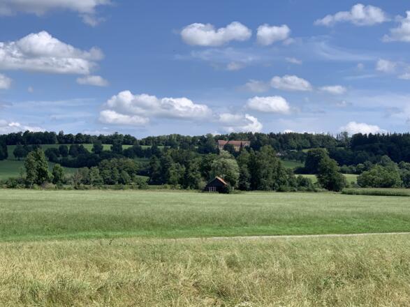Rechts haben Sie einen wunderschönen Blick auf Klosterwald
