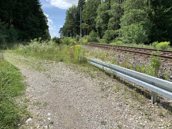 Weg in den Ungerhauser Wald