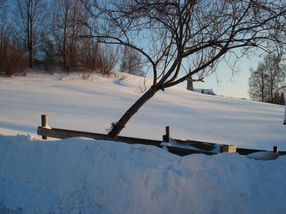 Blick auf die Kirche in Kimratshofen