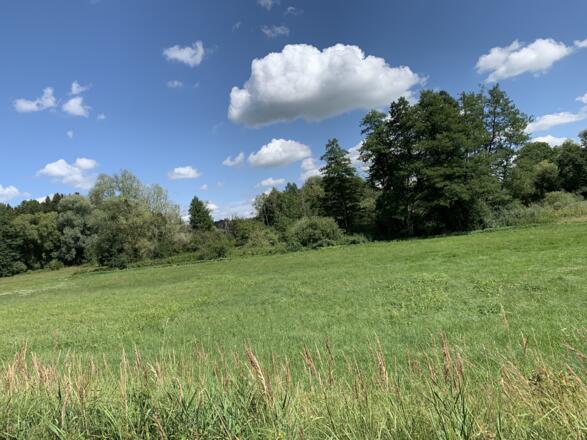 Wunderschöner Blick ins Günztal und den blau-weißen Himmel